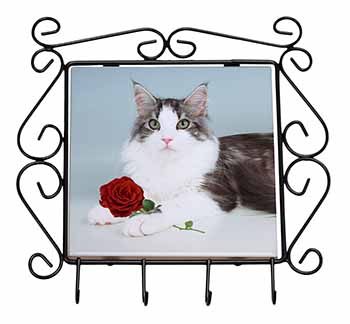 Gorgeous Cat with Red Rose Wrought Iron Key Holder Hooks