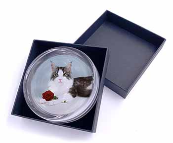 Gorgeous Cat with Red Rose Glass Paperweight in Gift Box