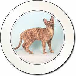 Cornish Rex Cat Car or Van Permit Holder/Tax Disc Holder