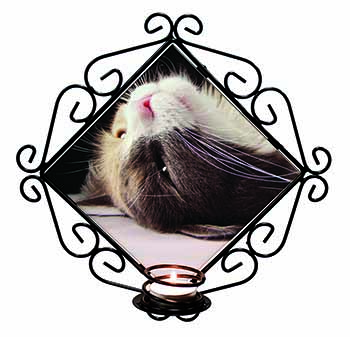 Cat in Ecstacy Wrought Iron Wall Art Candle Holder