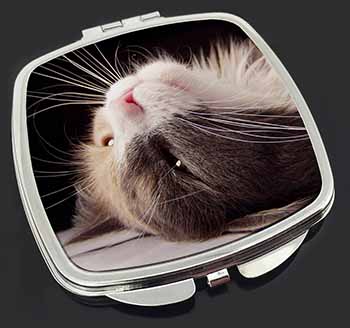 Cat in Ecstacy Make-Up Compact Mirror