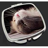 Cat in Ecstacy Make-Up Compact Mirror