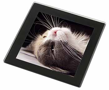 Cat in Ecstacy Black Rim High Quality Glass Coaster