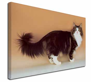 Norwegian Forest Cat Canvas X-Large 30"x20" Wall Art Print