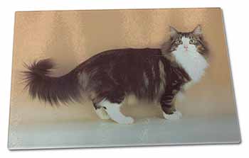 Large Glass Cutting Chopping Board Norwegian Forest Cat