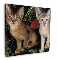 Abyssinian Cats by Poppies Square Canvas 12"x12" Wall Art Picture Print