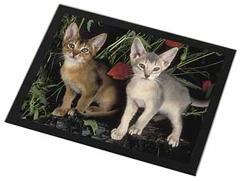 Abyssinian Cats by Poppies Black Rim High Quality Glass Placemat