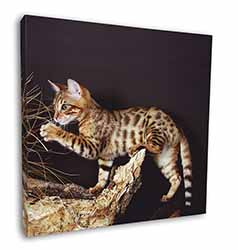 A Gorgeous Bengal Kitten Square Canvas 12"x12" Wall Art Picture Print