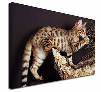 A Gorgeous Bengal Kitten Canvas X-Large 30"x20" Wall Art Print