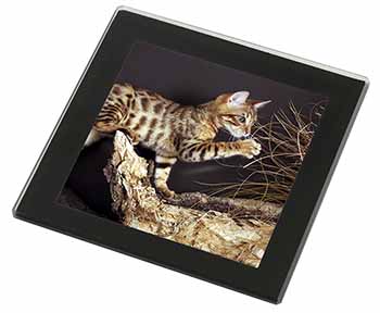 A Gorgeous Bengal Kitten Black Rim High Quality Glass Coaster