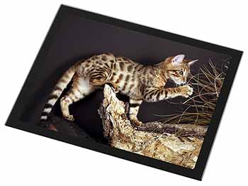 A Gorgeous Bengal Kitten Black Rim High Quality Glass Placemat