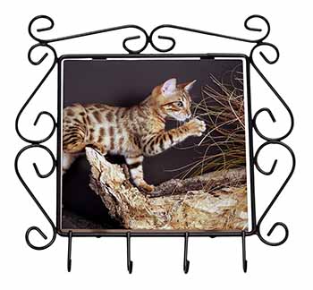 A Gorgeous Bengal Kitten Wrought Iron Key Holder Hooks