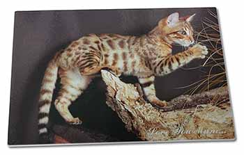 Large Glass Cutting Chopping Board Bengal Kitten 