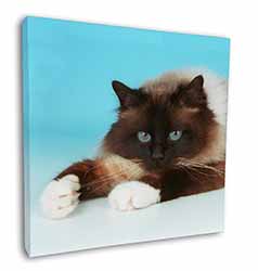 Beautiful Birman Cat Square Canvas 12"x12" Wall Art Picture Print