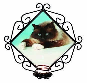 Beautiful Birman Cat Wrought Iron Wall Art Candle Holder