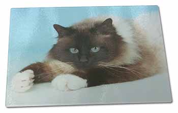 Large Glass Cutting Chopping Board Beautiful Birman Cat