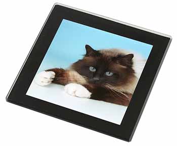 Beautiful Birman Cat Black Rim High Quality Glass Coaster