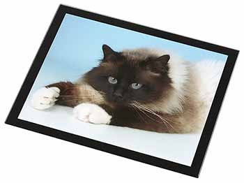 Beautiful Birman Cat Black Rim High Quality Glass Placemat