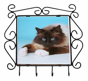 Beautiful Birman Cat Wrought Iron Key Holder Hooks