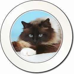 Beautiful Birman Cat Car or Van Permit Holder/Tax Disc Holder