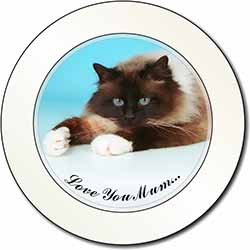 Beautiful Birman Cat 