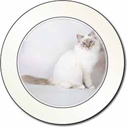 Beautiful Birman Cat Car or Van Permit Holder/Tax Disc Holder