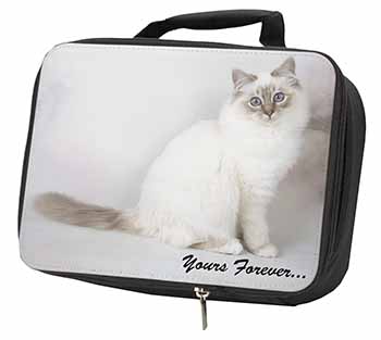 Birman Cat 