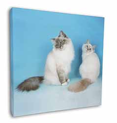 Gorgeous Birman Cats Square Canvas 12"x12" Wall Art Picture Print