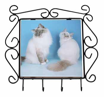 Gorgeous Birman Cats Wrought Iron Key Holder Hooks