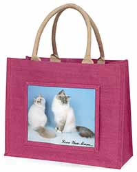 Birman Cat Print 