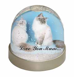 Birman Cat Print 