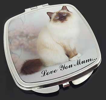 Birman Cat 