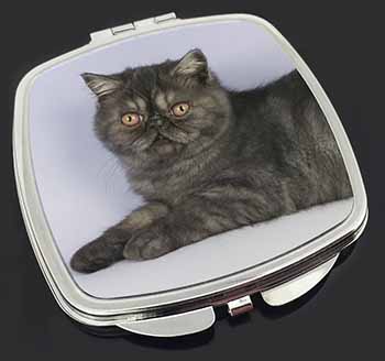 Exotic Smoke Cat Make-Up Compact Mirror