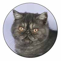 Exotic Smoke Cat Fridge Magnet Printed Full Colour