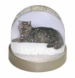 Exotic Smoke Cat Snow Globe Photo Waterball