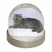 Exotic Smoke Cat Snow Globe Photo Waterball