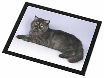 Exotic Smoke Cat Black Rim High Quality Glass Placemat