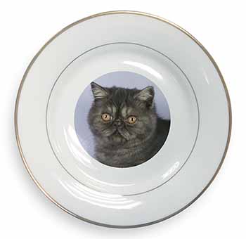 Exotic Smoke Cat Gold Rim Plate Printed Full Colour in Gift Box