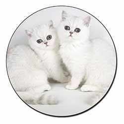 Exotic White Kittens Fridge Magnet Printed Full Colour