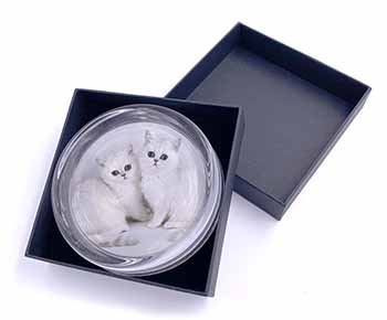 Exotic White Kittens Glass Paperweight in Gift Box