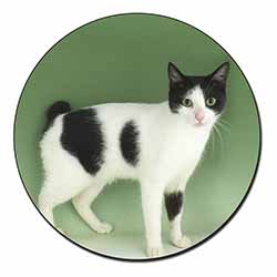 Japanese Bobtail Cat Fridge Magnet Printed Full Colour