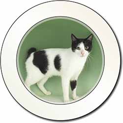 Japanese Bobtail Cat Car or Van Permit Holder/Tax Disc Holder