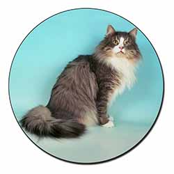 Norwegian Forest Cat Fridge Magnet Printed Full Colour