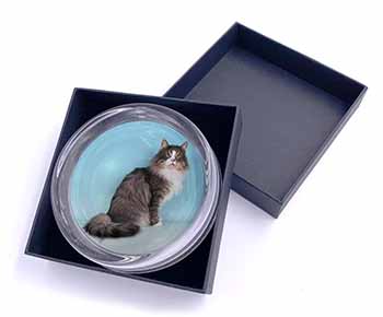 Norwegian Forest Cat Glass Paperweight in Gift Box