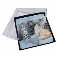 4x Cute Fluffy Kittens Picture Table Coasters Set in Gift Box