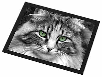 Gorgeous Green Eyes Cat Black Rim High Quality Glass Placemat