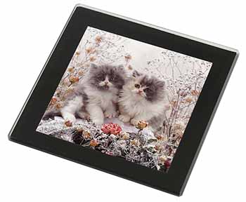 Persian Kittens by Roses Black Rim High Quality Glass Coaster