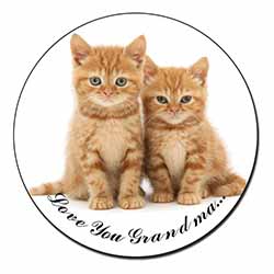 Ginger Kittens 