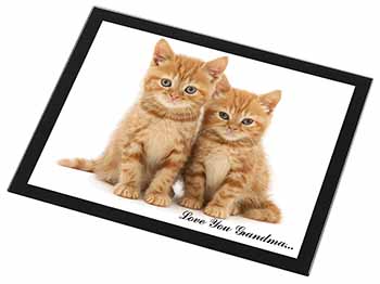 Ginger Kittens 