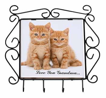 Ginger Kittens 